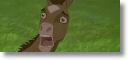 Baby_Stallion.jpg