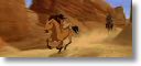 Chasing_Stallion.jpg