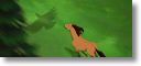 Eagle_Shadow.jpg