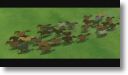 Flock.jpg